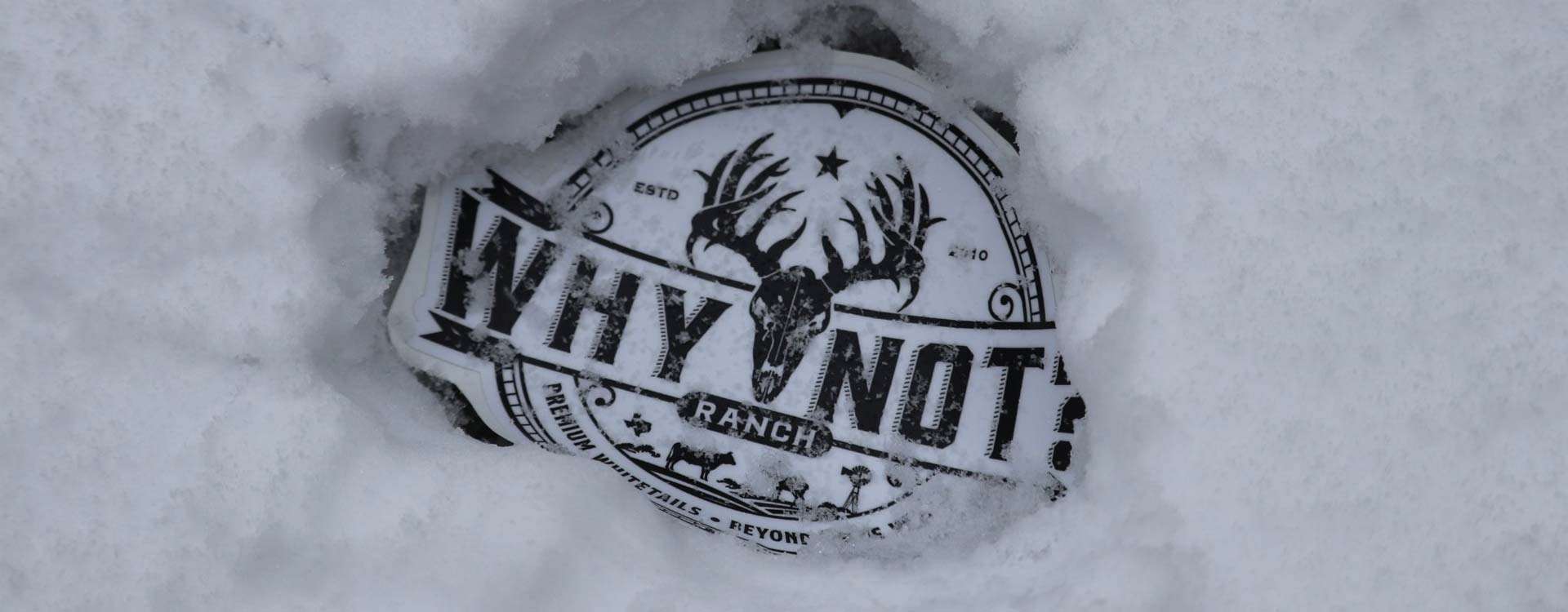 The Why Not? Ranch Story The Why Not? Ranch Story